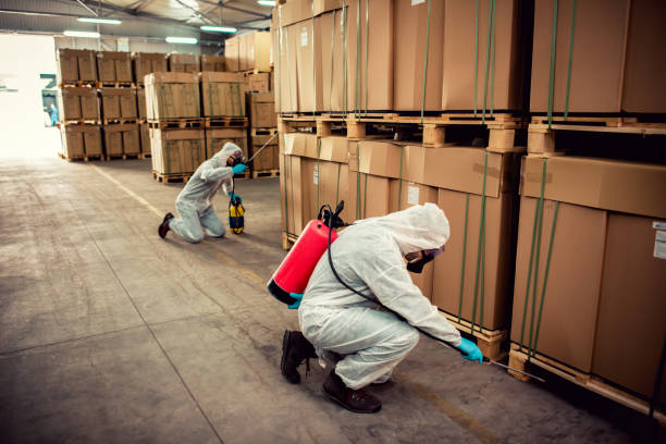 Best Pest Removal Services  in Ada, OK