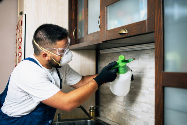 Best Pest Inspection Near Me  in Ada, OK