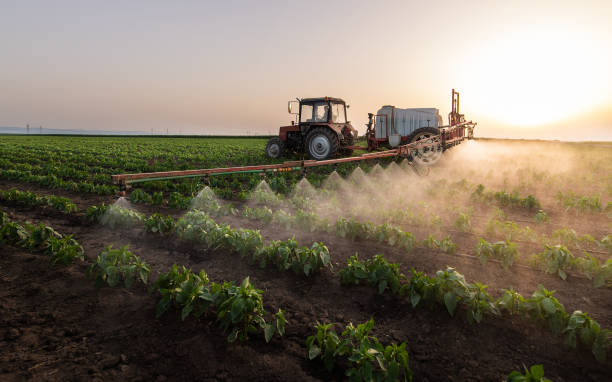 Best Pest Prevention Services  in Ada, OK