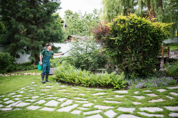 Best Commercial Pest Control Services  in Ada, OK