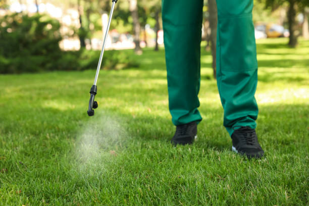 Best Residential Pest Control  in Ada, OK