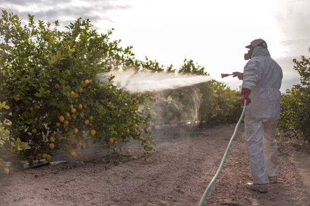 Pest Prevention Services in Ada, OK