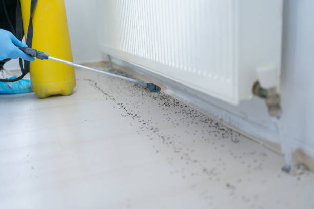 Best Exterminator Services  in Ada, OK